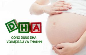 thực phẩm bổ sung dha cho bà bầu