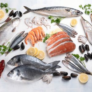 Các loại cá béo giàu Omega 3