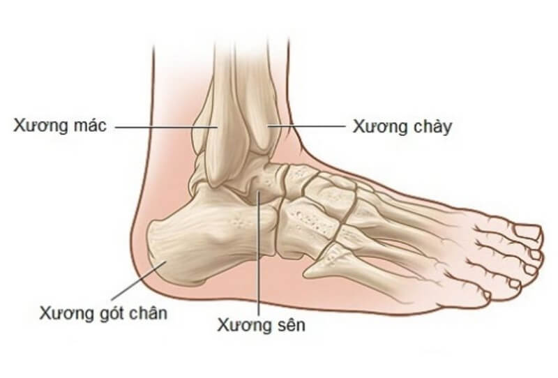 Thoái hóa khớp chân là một bệnh lý xương khớp phổ biến hiện nay